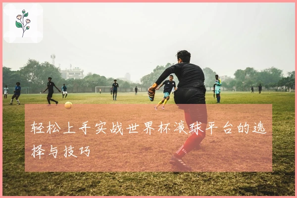 轻松上手实战世界杯滚球平台的选择与技巧