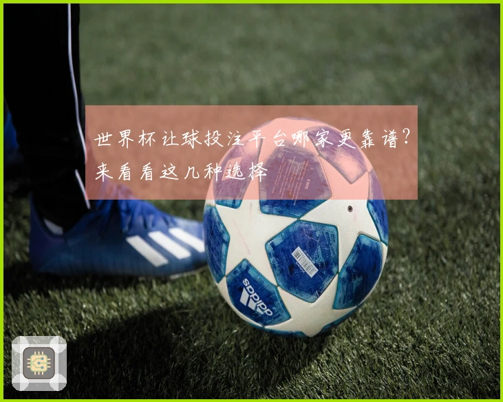 世界杯让球投注平台哪家更靠谱？来看看这几种选择
