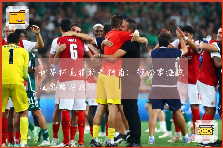 世界杯竞猜新手指南：轻松掌握投注思路与技巧