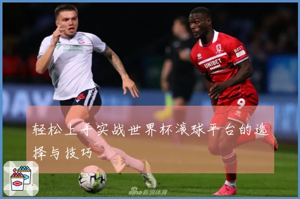 轻松上手实战世界杯滚球平台的选择与技巧